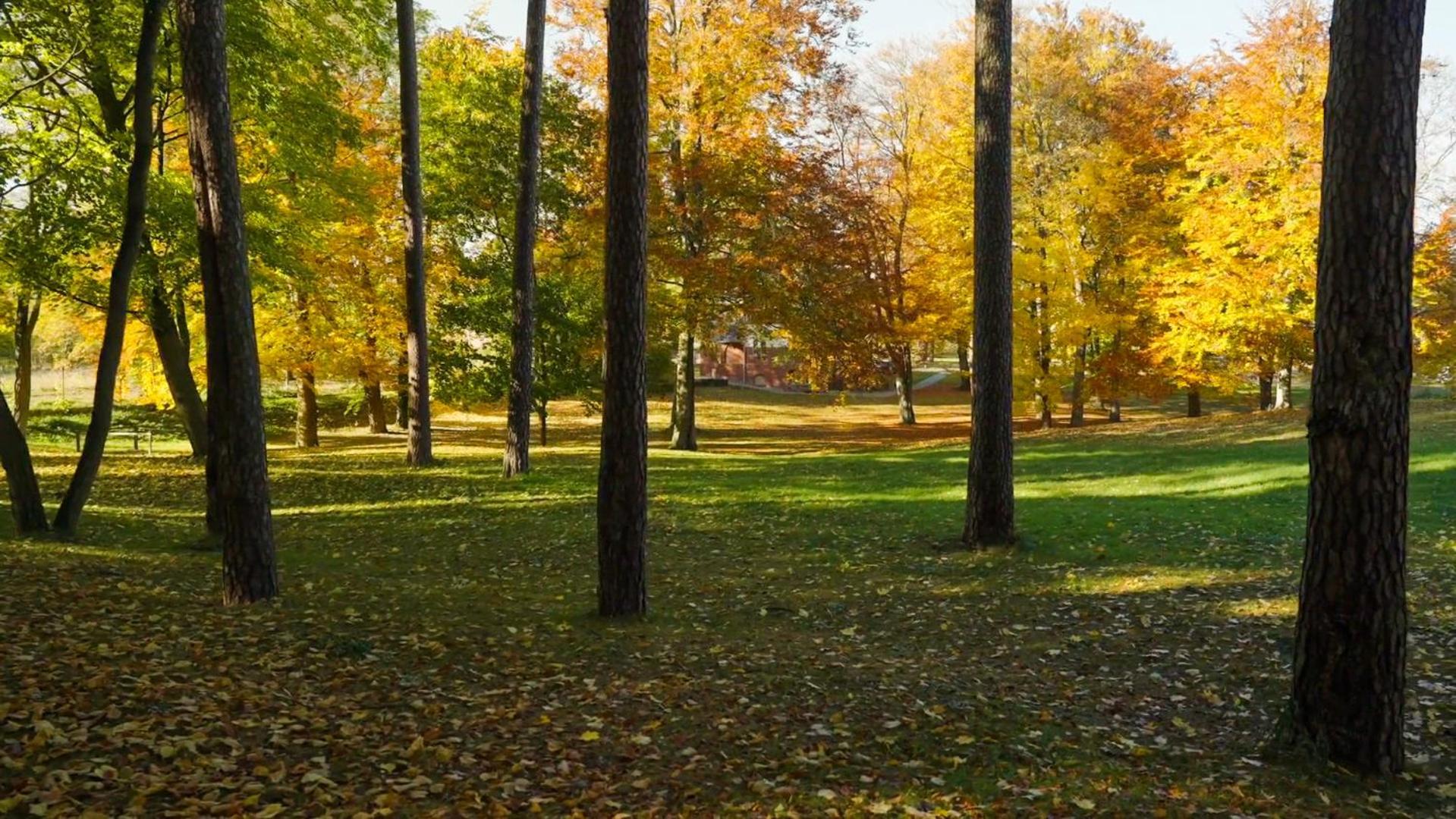 Parkresidenz Lychen, Ferienwohnung 4 מראה חיצוני תמונה